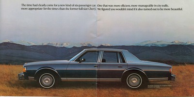 1977 Chevrolet Full Size-04-05.jpg